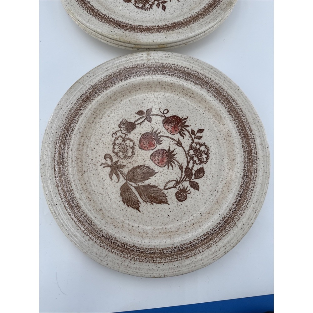 Vtg Lot of 2 Homer Laughlin Brown Speckled Strawberry 10.25" Dinner Plates